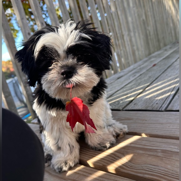 November 26th ☃️🫶 - Picture 4 of 16